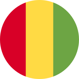 Logo - Guiné
