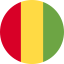 Logo - Guiné