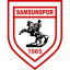 Logo - Samsunspor