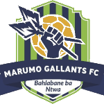 Logo - Marumo Gallants FC